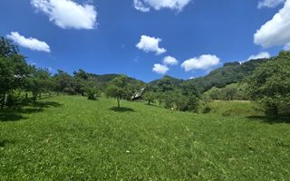 Teren | 2946MP | Priveliște Panoramică | Râu Sadului - Poză 3