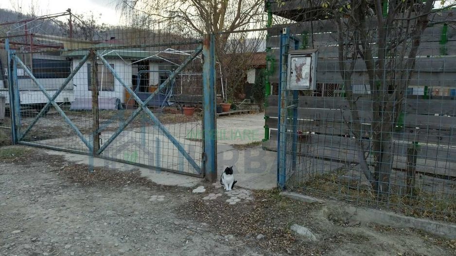 Teren intravilan cu hală și căsuță de vacanță, Vladiceni, Iași - Poză 3