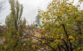 Apartament 2 camere decomandat sos. Titulescu - Piata Victoriei - Poză 5