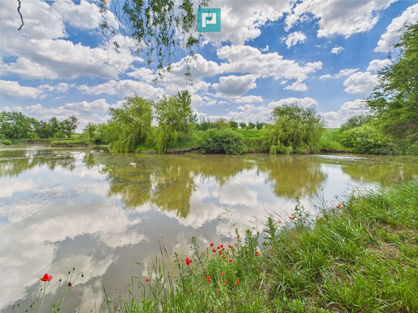 Teren cu baltă- oportunități multiple la Fibiș - Poză 20