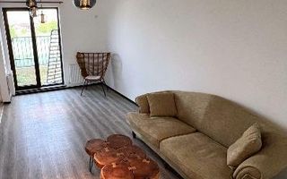 Proprietar inchiriez vila Pipera - Vasile Alecsandri - Poză 3