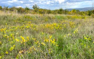 Teren de vanzare, zona Schit, panorama, 1500mp - Poză 3