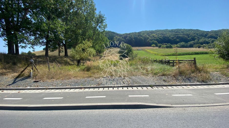 Teren intravilan 2600 mp - pretabil casa/investitie-Zona Aerodrom - Poză 1