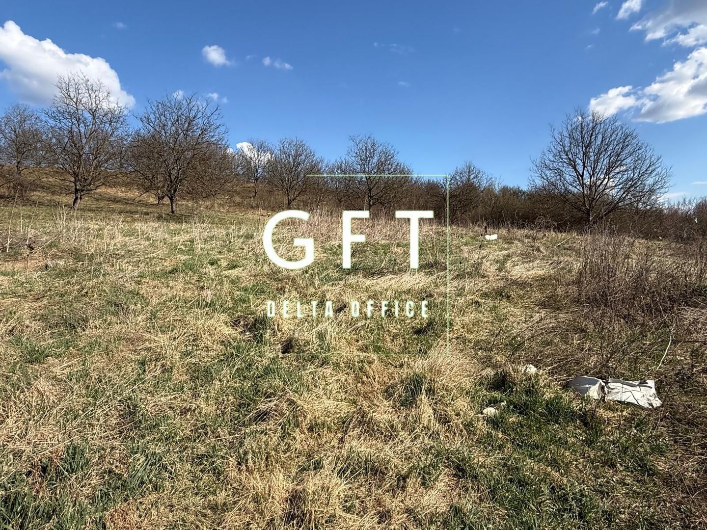 Teren Intravilan 6 ari Drumul Sigmirului - Cu Proiect de casa - Poză 4