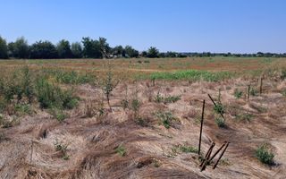 Teren Intravilan 500 mp de Vânzare – Vidra - Poză 2