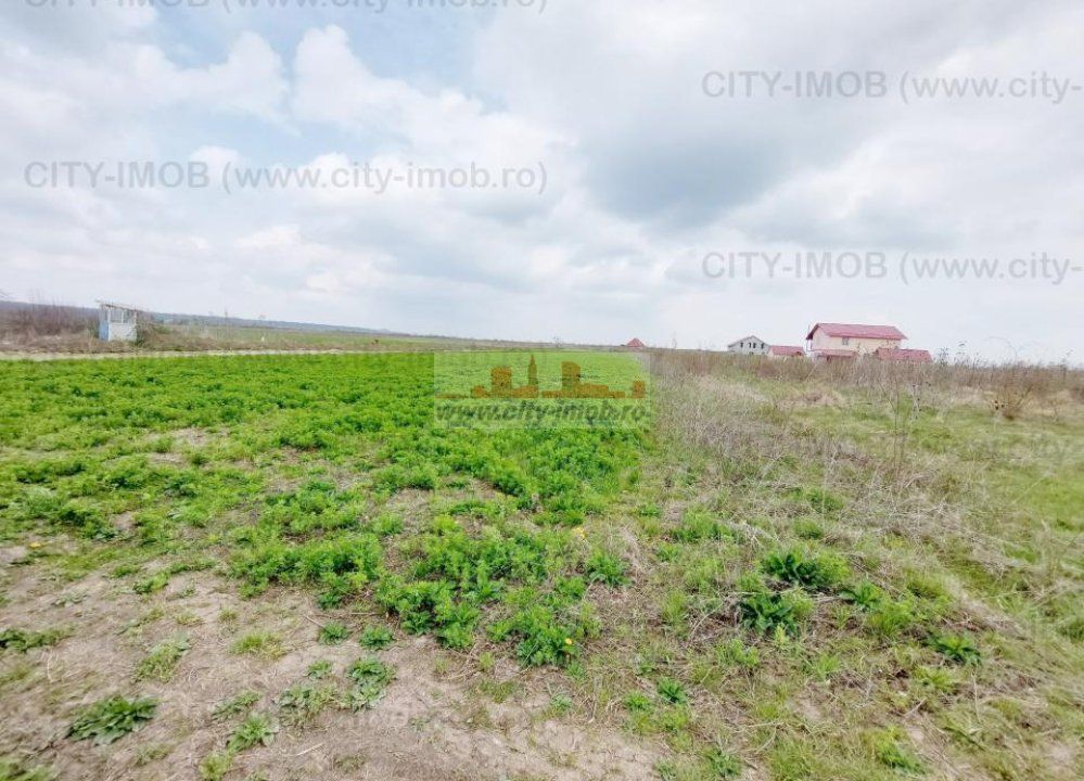 Teren de vanzare Cocani, Crevedia, langa padure Dambovita - 17 km de Bucuresti - Poză 14