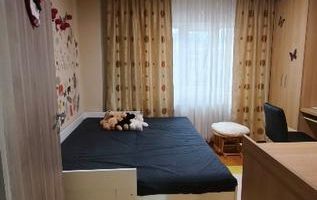 Apartament 4 camere, etaj 2, boxa, garaj - zona Steaua - Poză 9