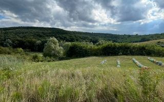 De vanzare teren in comuna schitu duca cu iaz de peste si salcami - Poză 3