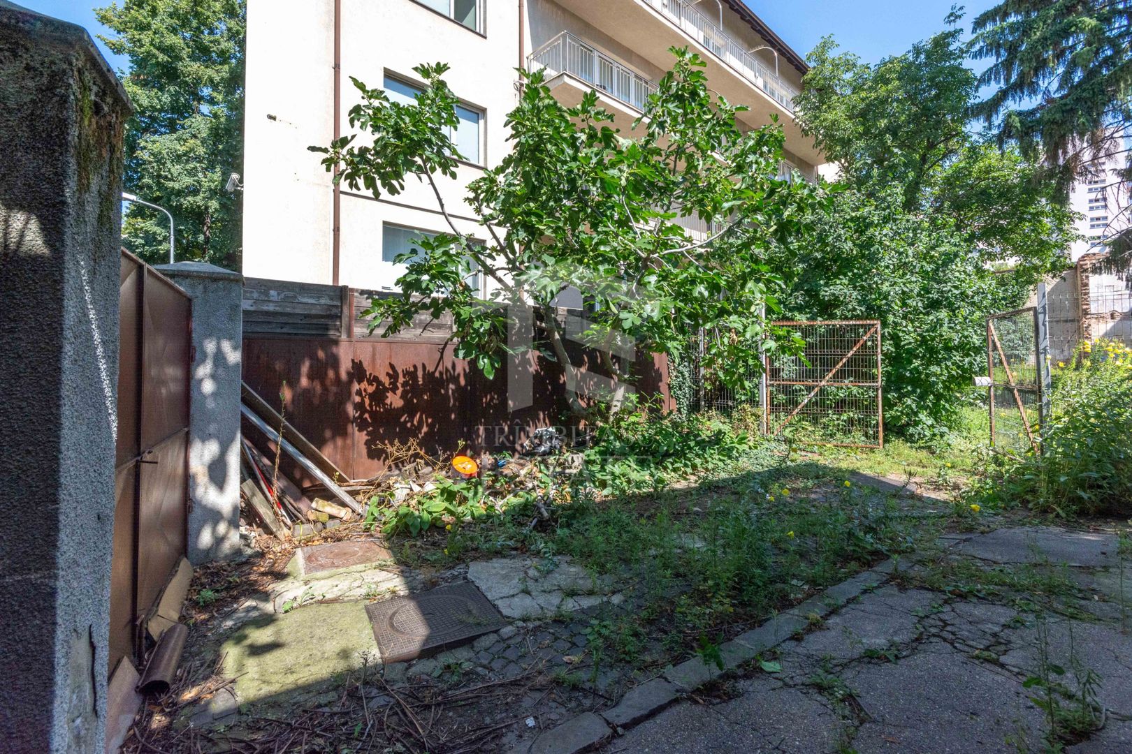 Stefan cel Mare - Tunari - Barbu Mumuleanu teren 381 mp - Poză 8