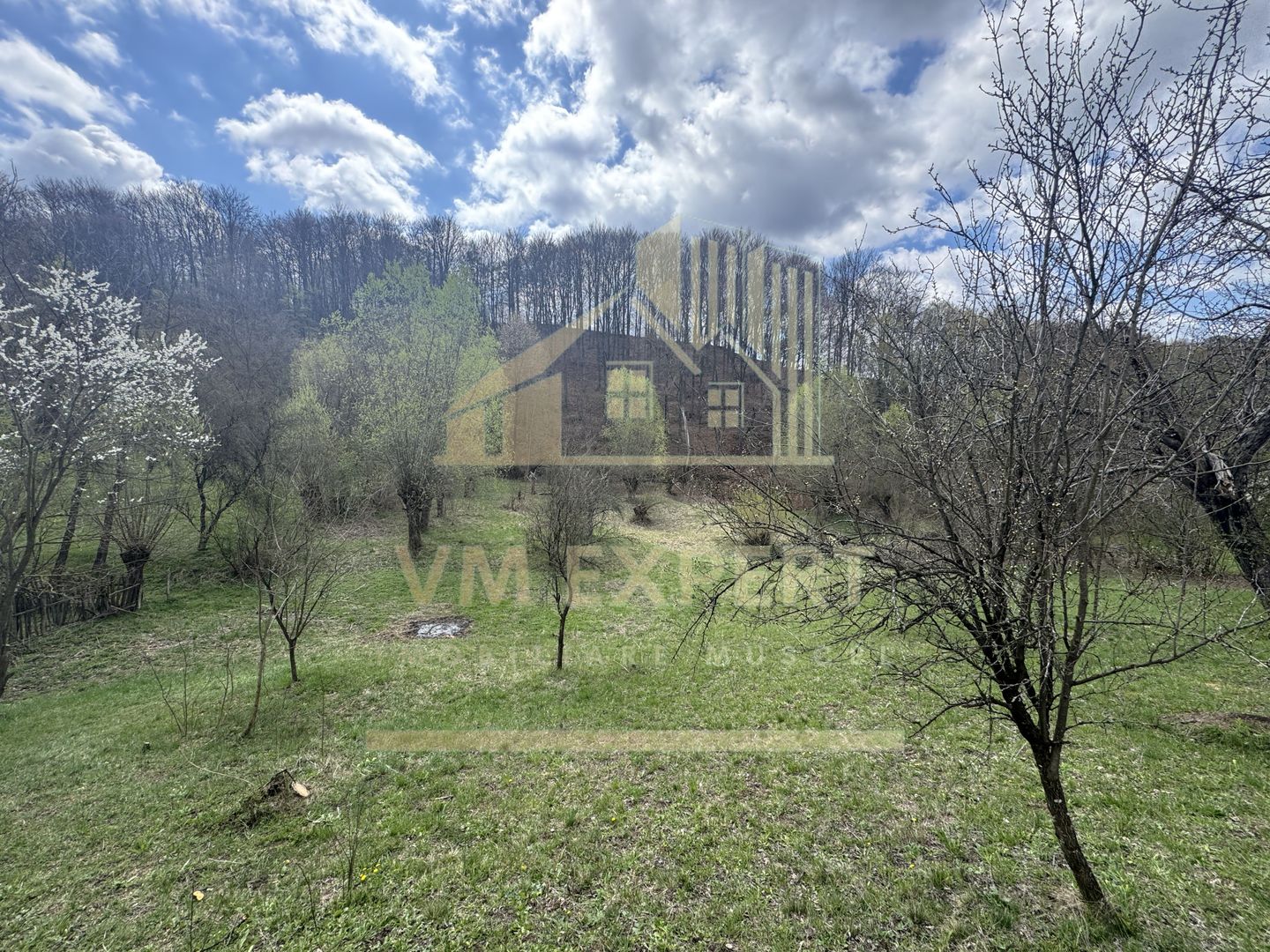 TEREN INTRAVILAN 4365 MP POENARII DE MUȘCEL  JUDEȚUL ARGES - Poză 16