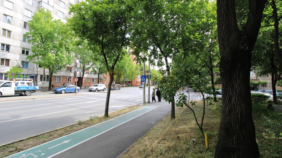 Pet-fiendly, 5 min. Iulius Mall, 2 camere, centrala proprie. - Poză 14