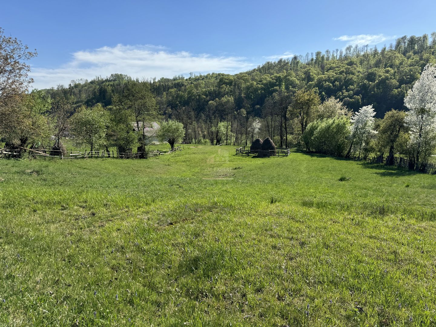 TEREN INTRAVILAN 2592 MP,  ALBESTI DE MUSCEL, ARGES - Poză 18