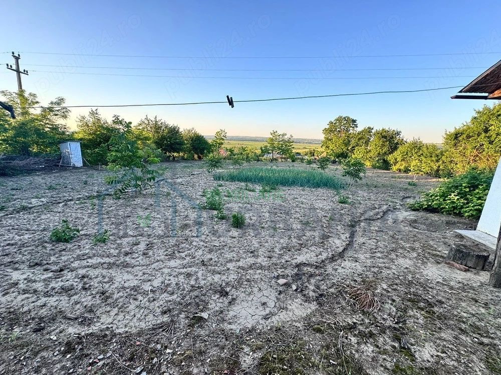Casă de vânzare în Scoposeni, com. Gorban – 2700 mp teren, 3 construcții, livadă de nuci - Poză 3