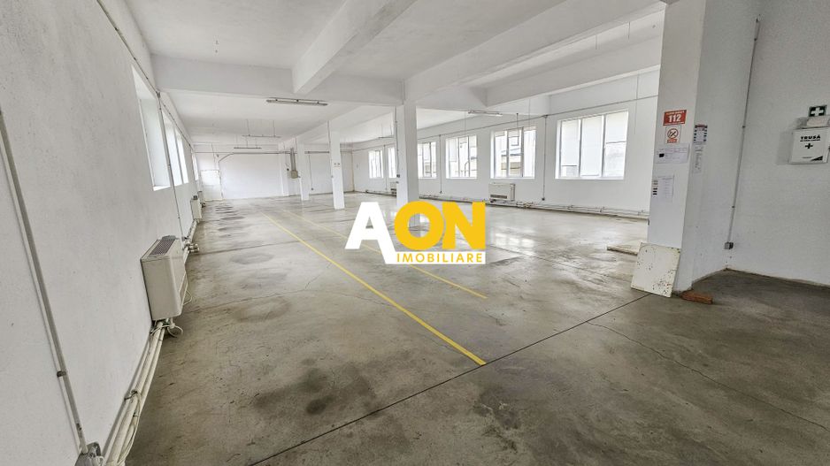 Spatiu industrial pentru productie sau depozitare, 1600 mp, Sebes - Poză 14