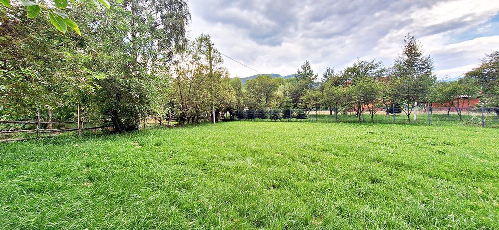 Bran Predelut teren intravilan de 2000mp, pret 27 euro/mp - Poză 6