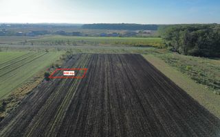 Teren Intravilan Cosoba - Poză 3