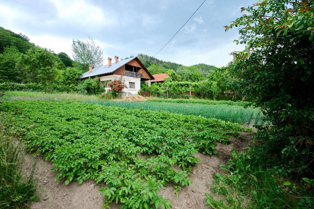 Casa cu teren generos - 4696 mp Apa Sarata - Campulung !! - Poză 9