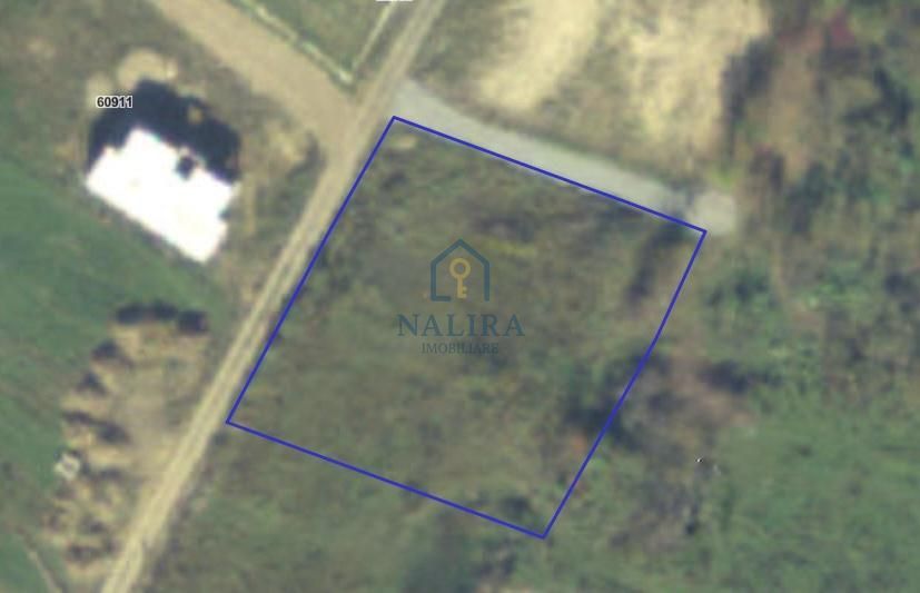 Vanzare teren - Tautii Magheraus - Poză 3