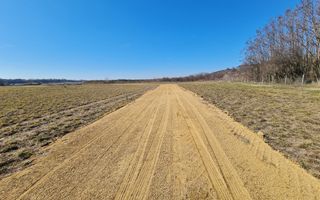 Teren Intravilan 49284 mp / PUZ Aprobat - Poză 5