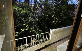 Apartament de închiriat Brazdă lui Novac - Poză 7