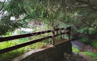 **VANDUT** Casă, Gărâna, munții Semenic, la doi pași de Scenă - Poză 7