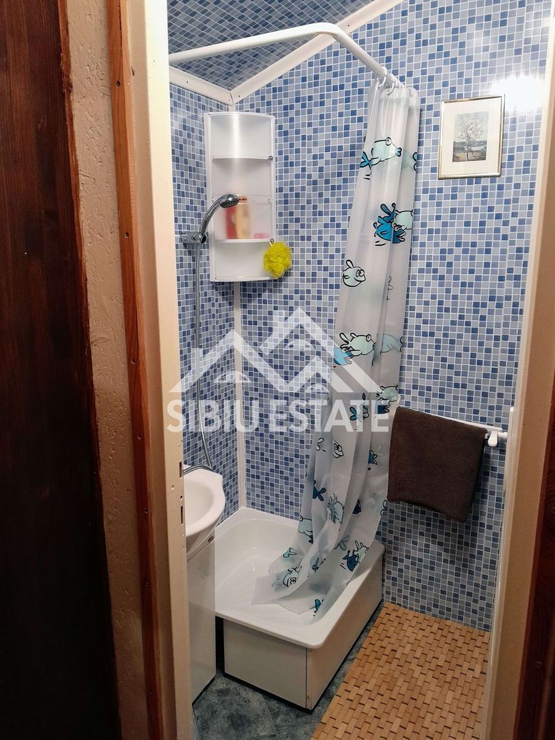 Cabană cu teren și pomi fructiferi Tropinii Noi ,Sibiu - Poză 10