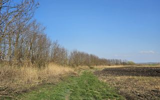 Teren extravilan pentru balastiera Biharia - Poză 6