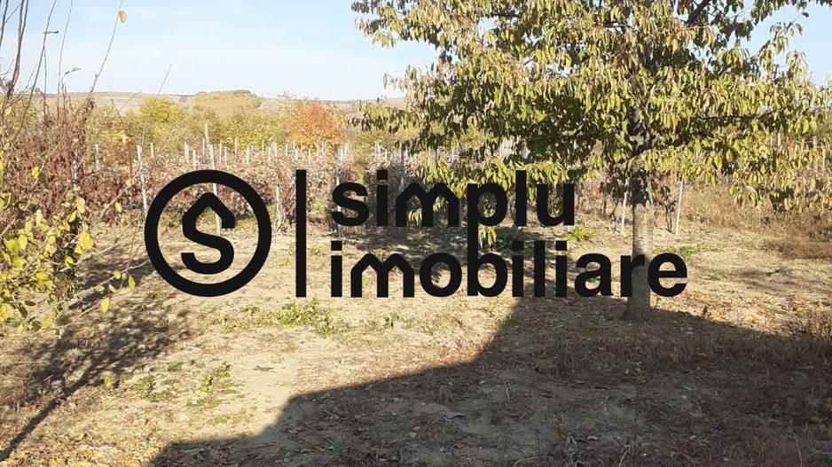 Casa Bradesti, teren 1239 mp - 29 995 Euro - Poză 2