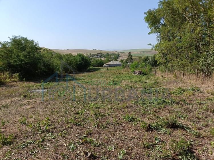 Casă renovată în stil tradițional, Romanesti, Iași – 3 camere, 50 mp utili, teren 3240 mp - Poză 13