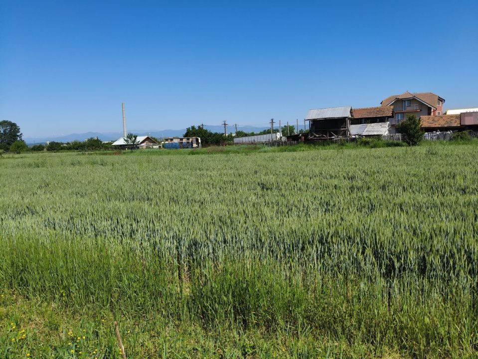 Teren 10.294 mp de vânzare Târgu Jiu | Intravilan + Extravilan | Utilități - Poză 4