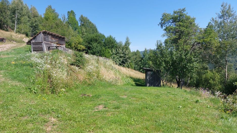 Teren intravilan zona montana investiție Rachitele Cluj 4.330 mp - Poză 4