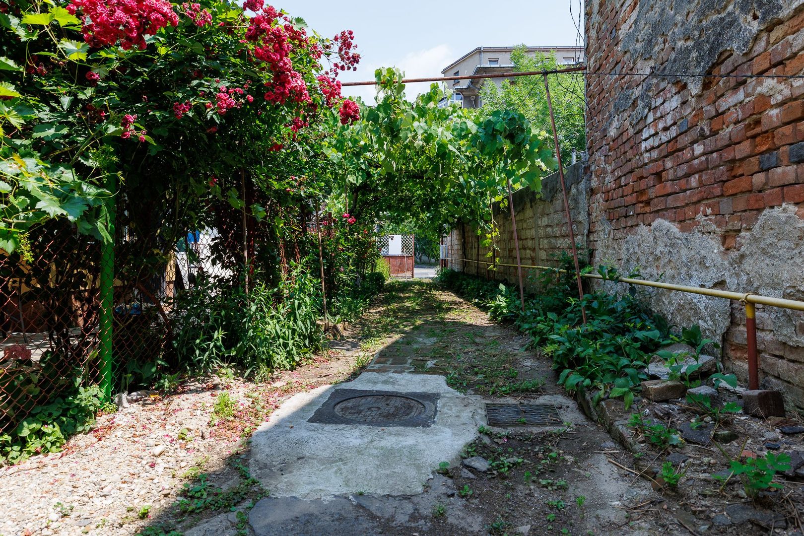 FOISORUL DE FOC | Teren 259mp cu casa veche 9 min metrou Iancului - Poză 33