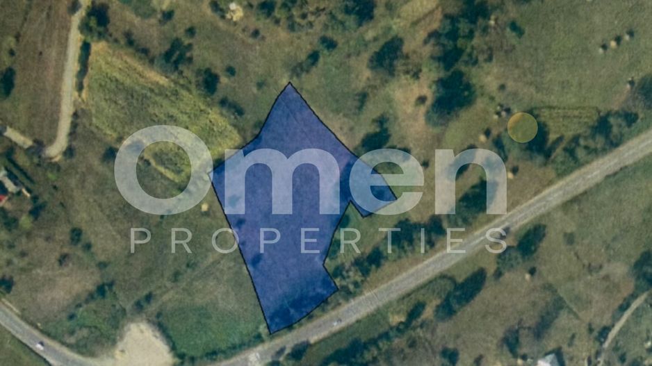 Teren extravilan 6923 mp in Berinta | Acces direct la DN | - Poză 3