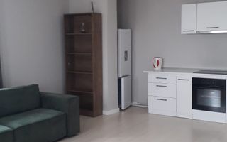 De inchiriat 2 apartamente cu 2 camere, etaj 1/2, strada Domneasca, 500 E - Poză 8