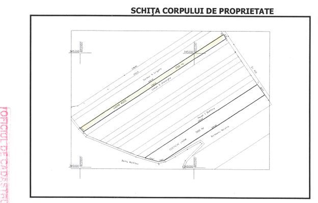 TEREN EXTRAVILAN 5000 MP || PETRACHIOAIA - Schiță 3
