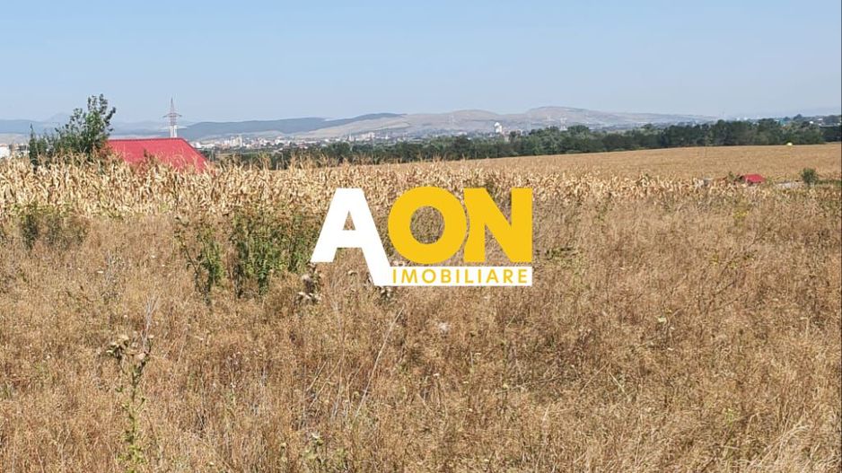 Oportunitate investitie. Oarda de Jos, 16 parcele de 490 mp - Poză 2