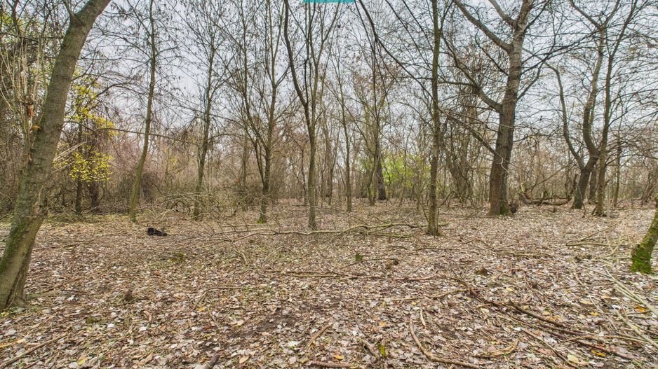 Teren pe malul Muresului- oportunitati multiple - Poză 2