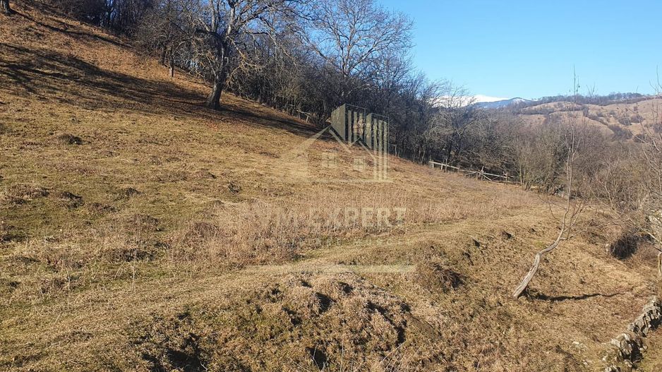 TEREN INTRAVILAN 4614 MP, CAMPULUNG - VALEA ROMANESTILOR - Poză 10