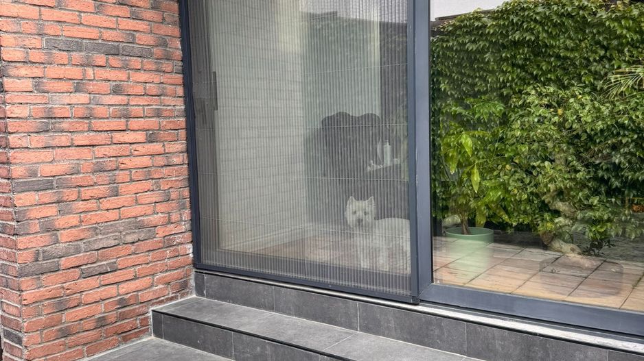 vila 4 camere | Aviatiei | curte 50 mp | Baneasa | 3 Parcare - Poză 21