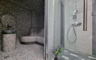 INCHIRIERE -2 VILE -ZONA MOGOSOAIA - Poză 70