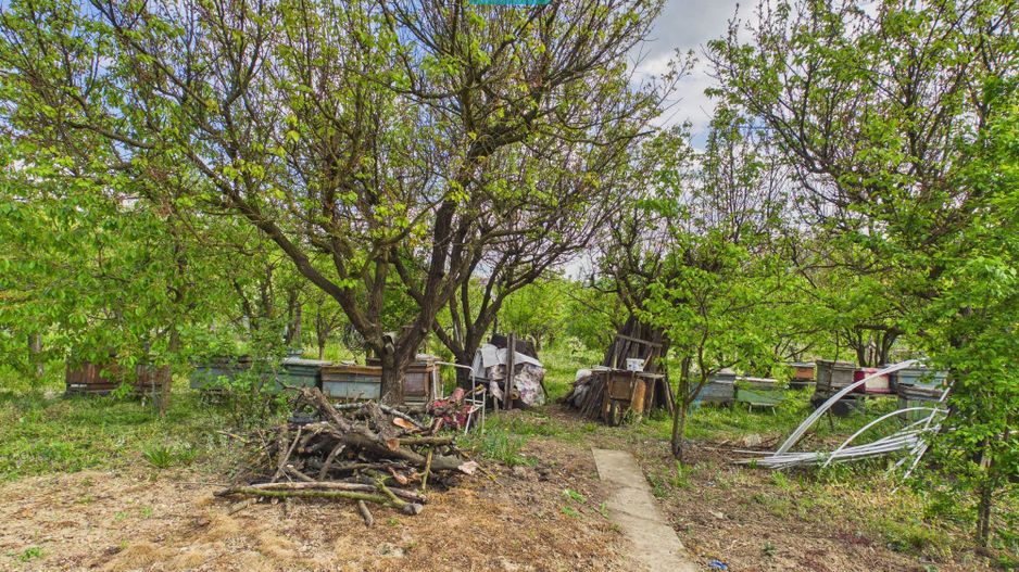 Casă cu 3 camere și teren generos în Drauț - Poză 15