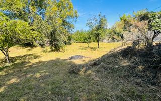 TEREN INTRAVILAN 3234 MP LEREȘTI VOINEȘTI ARGEȘ - Poză 30