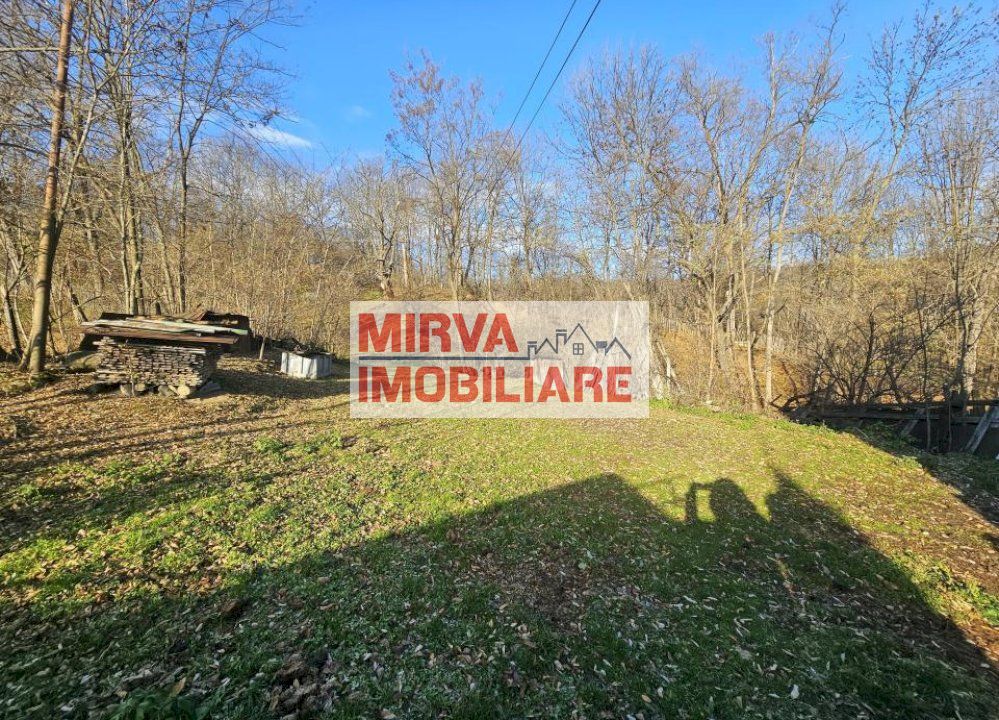 Vanzare casa plus anexa, teren 3843 mp, in Sat Pietriceaua - Poză 12