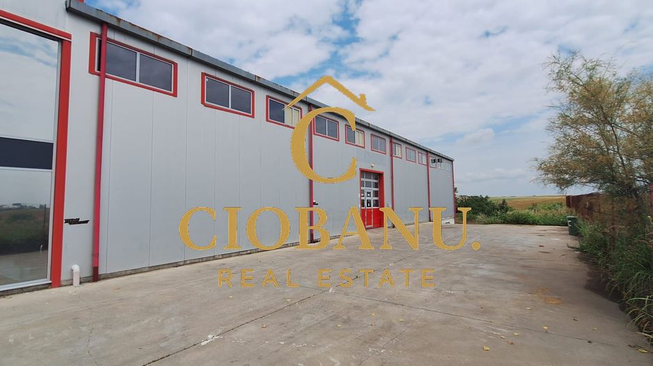 Hală industrială de vânzare / închiriere – 1.120 mp | Pielesti - Poză 3