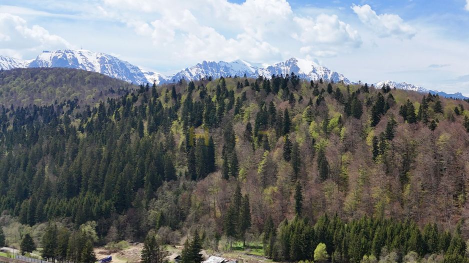 Pensiune exclusivistă Piscină încălzită în Predeal - Afacere la cheie - Poză 17