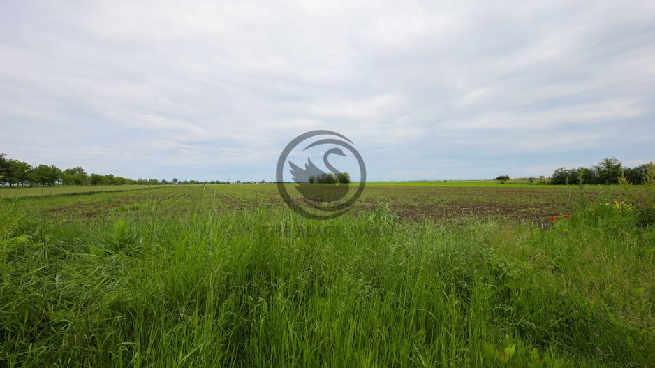 Teren de vanzare in Manesti, Prahova | 18.000 mp | Deschidere 60 ml - Poză 1