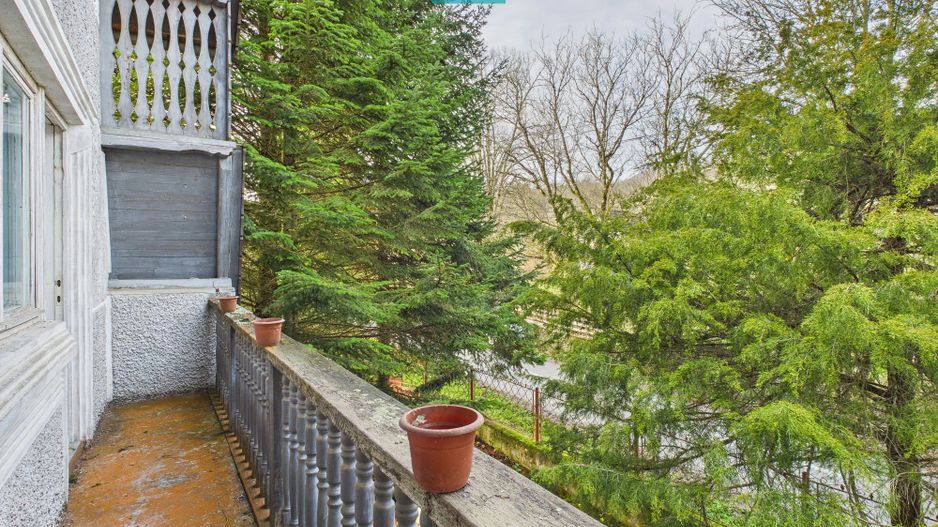 Casă P+E+M cu teren 8163 mp – Roşia Nouă (Petriş) - Poză 9