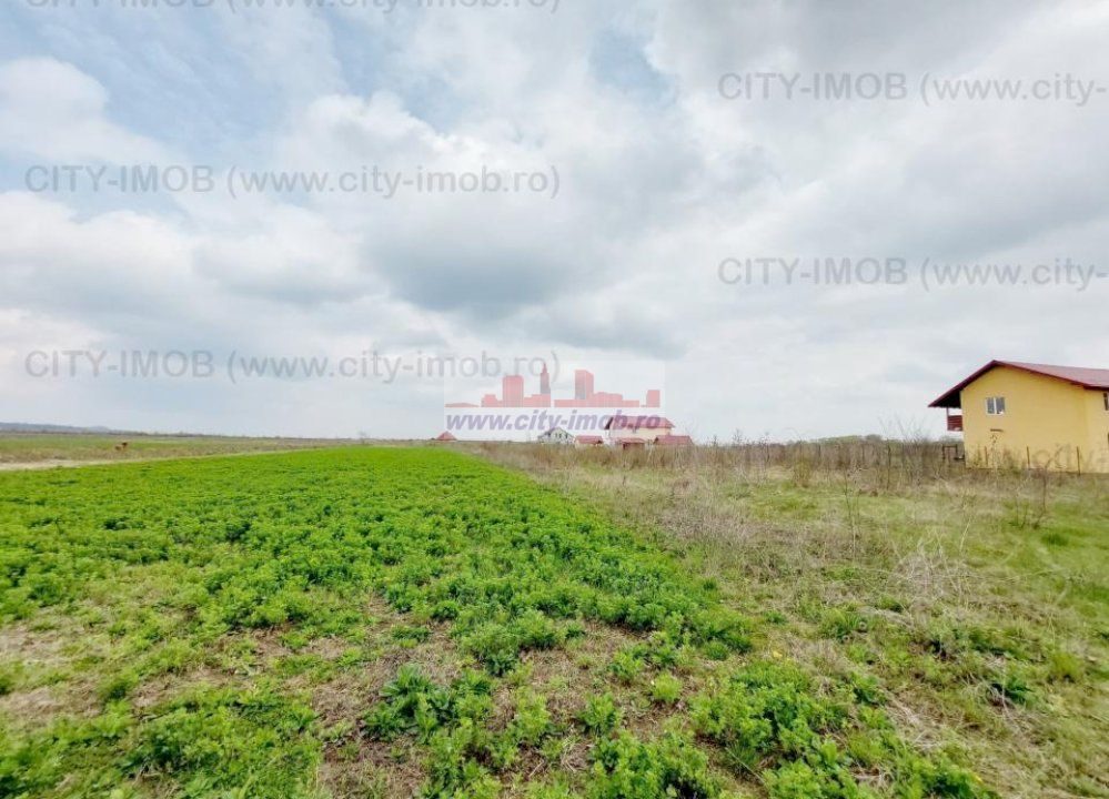Teren de vanzare Cocani, Crevedia, langa padure Dambovita - 17 km de Bucuresti - Poză 13