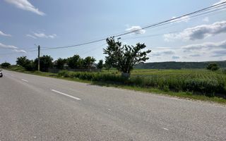 Teren intravilan de vânzare, Sat Prisaca, Com. Berești Tazlău - Poză 7