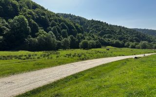 2 Loturi a 2124+2744mp Barsa Fierului / Plaiul Foii - Poză 8